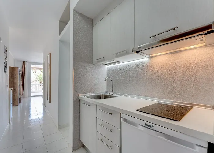 Appartement Big Terrace With B-b-q In Americas Adeje Costa Adeje (Tenerife)